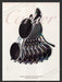 2000 Cartier Sunglasses Optical Print Advertisement Ad