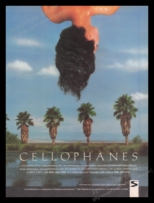 Cellophanes Hair 1980s Print Advertisement Ad 1985 Palm Trees Tropical Fetch the Paper!