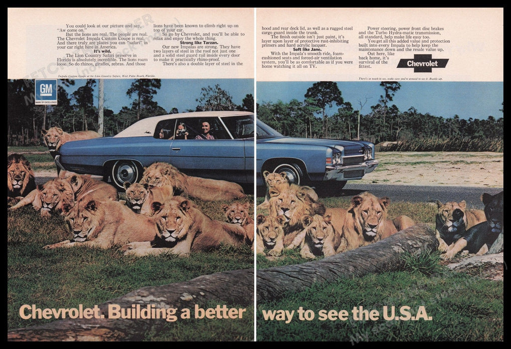Chevrolet Impala 1970s Print Advertisement Ad (2 pages) 1972 Lion Pride Fetch the Paper!