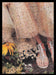 Coach 2000s Print Advertisement Ad 2009 Shoes Feet Bohemian Sweet Fetch the Paper!