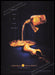 Crown Royal 2000s Print Advertisement Ad 2002 Fetch the Paper!