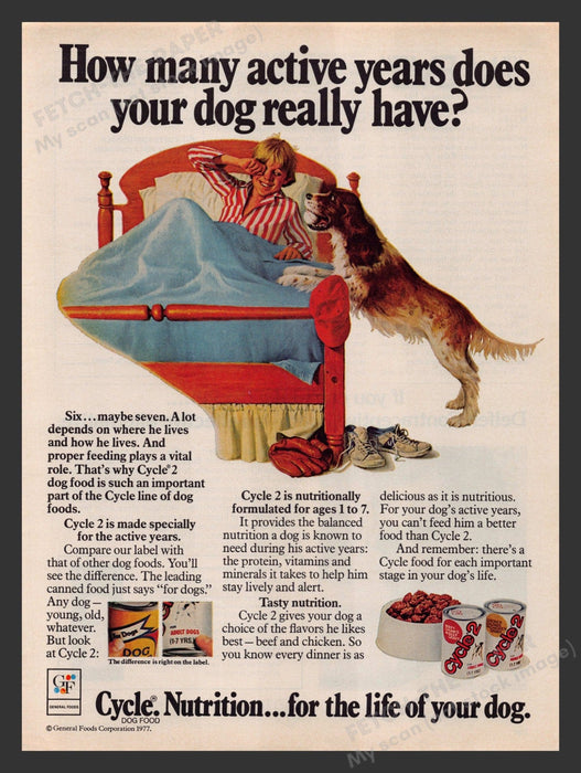 Cycle 2 1970s Print Advertisement 1977 Dog Food Boy Illustration Fetch the Paper!