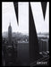 DKNY 2000's Print Advertisement Ad 2007 Empire State Building Donna Karan Fetch the Paper!