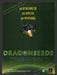 1998 Dragonseeds "Breed beasts for battle" Video Game Print Advertisement