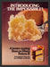 1979 Duncan Hines Deluxe II Yellow Cake Mix Print Advertisement Ad