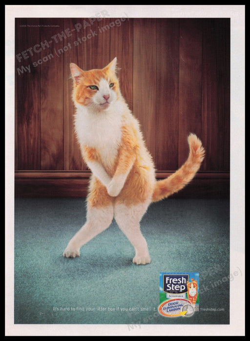 Fresh Step Kitty Litter 2000s Print Advertisement Ad 2006 Cat Fetch the Paper!
