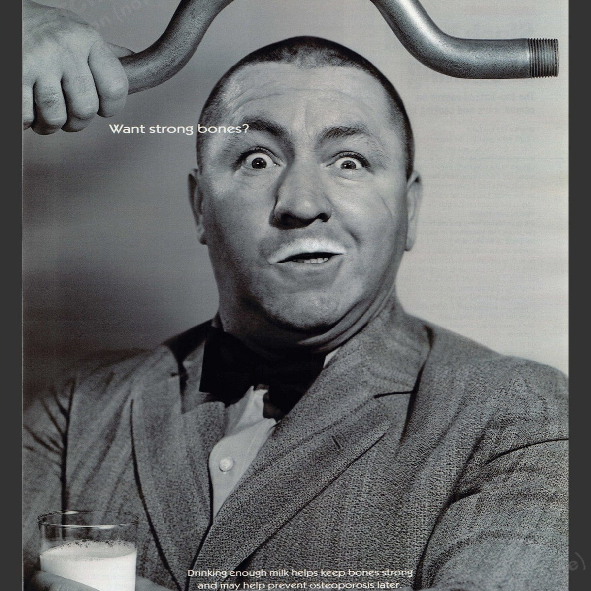 The Three Stooges 2000
