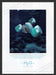 2003 H2O Aquafirm Night Cream Jellyfish Ocean Print Advertisement Ad