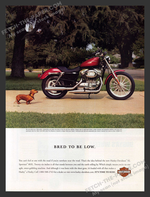 2005 Print Advertisement Harley-Davidson XL Sportster 883L Motorcycle Ad.