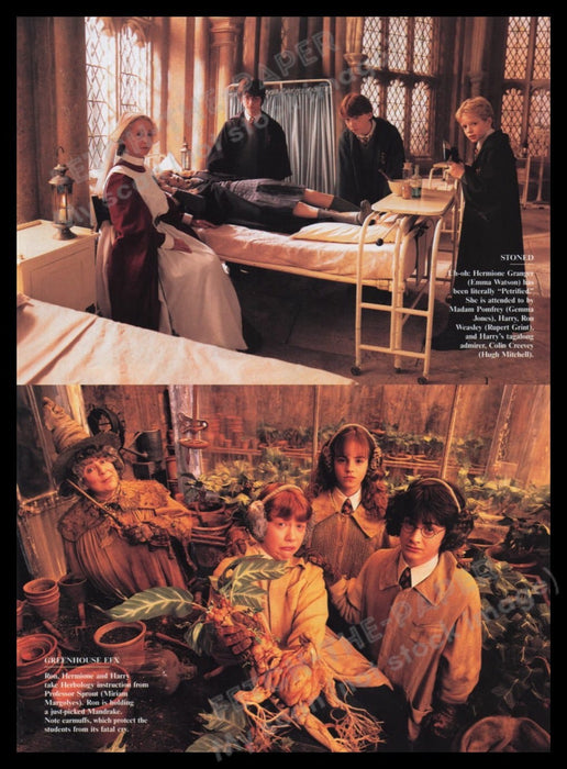 Harry Potter 2000s Magazine Photos (3 pages) 2002 Fetch the Paper!