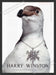 2007 Print Advertisement Harry Winston Jewelry Sea Gull Bird Ad.