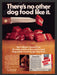 1979 Ken-L Ration Special Cuts Dog Food Beagle Print Advertisement Ad
