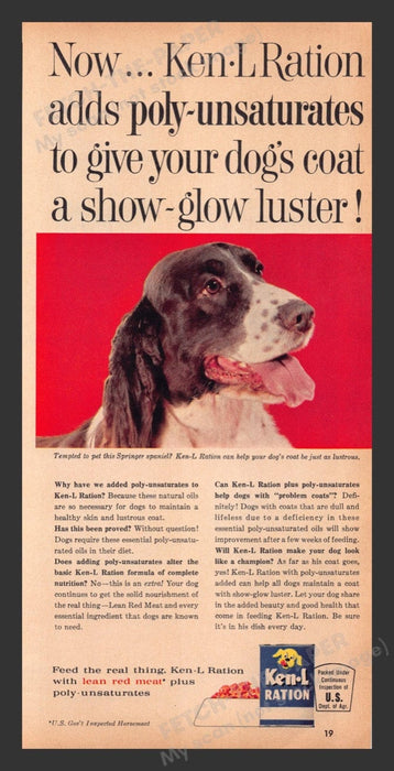 1964 Ken-L Ration Springer Spaniel Dog Food Print Advertisement Ad