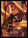 Max Studio 2000's Print Advertisement Ad 2007 Legs Shoes Easton Neston Fetch the Paper!