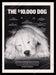 National Disaster Search Dog Foundation 2000's Print Advertisement Ad 2004 Fetch the Paper!
