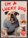 1986 Purina Lucky Dog Food Bulldog in a Sweatshirt Print Advertisement Ad