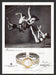 Raymond Weil Watch Promo Ballet Dancers 1990s Print Advertisement 1994 Fetch the Paper!