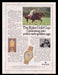 Rolex Watch 1980s Print Advertisement Ad 1985 Gold Cup Polo Fetch the Paper!