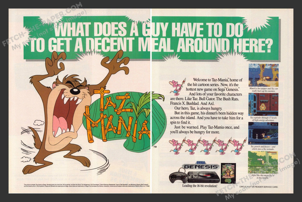 1991 Print Advertisement Tazmania Video Game Ad.