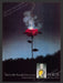 Tea Rose Fragrance Lightning Striking Rose 1980s Print Advertisement 1983 Fetch the Paper!