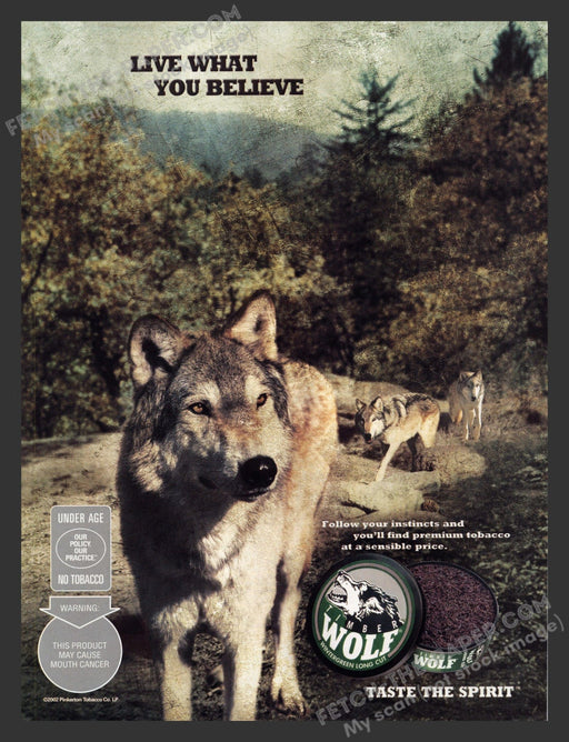 2002 Timber Wolf Wintergreen Chewing Tobacco Print Advertisement Ad.