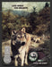 2002 Timber Wolf Wintergreen Chewing Tobacco Print Advertisement Ad.