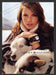 2006 Print Advertisement Tommy Hilfiger Watches Husky Dogs Ad.
