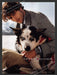 2006 Print Advertisement Tommy Hilfiger Watches Men Husky Dog Ad.