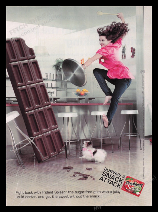 Trident 2000s Print Advertisement Ad 2008 Gum "Survive the Snack Attack!" Fetch the Paper!