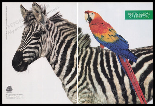United Colors Of Benetton 1990s Print Advertisement (2 pages) 1991 Zebra Parrot Fetch the Paper!