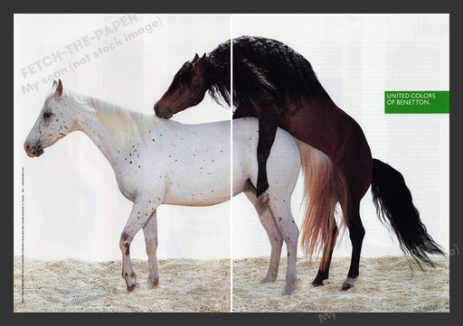 United Colors of Benetton Mating Horses 1990s Print Advertisement (2 pages) 1996 Fetch the Paper!