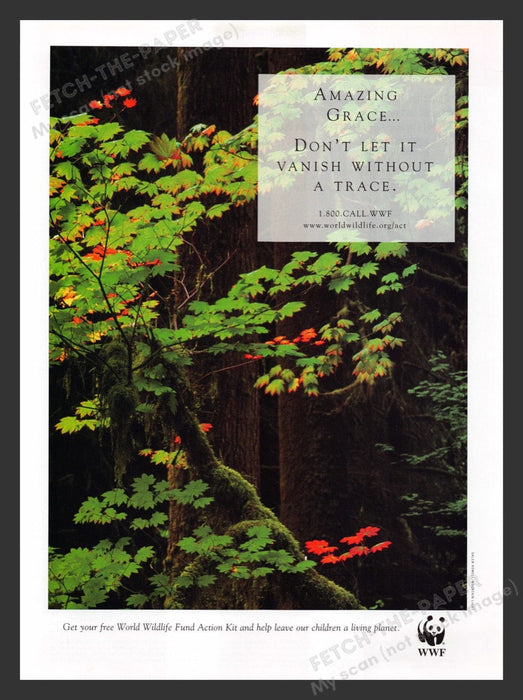 2000 WWF World Wildlife Fund Living Planet Print Advertisement Ad