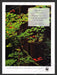 2000 WWF World Wildlife Fund Living Planet Print Advertisement Ad